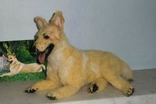 Dog Iko